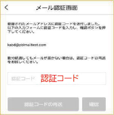 登録する口座情報・お客さま情報を入力5